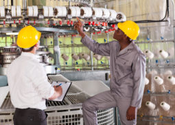 Lean manufacturing consultants