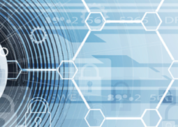 Stay Focused on Cybersecurity Due Diligence
