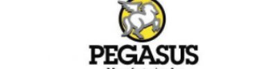 Pegasus